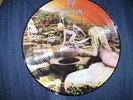 Led Zeppelin limited edition 12