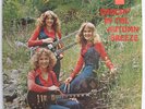 Private Female Rock LP Jensen Sisters emersons psych