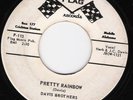 DAVIS BROTHERS PrettyRainbow FLAG Gospel Country Mob,AL
