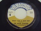 THE SHOW STOPPERS What Can A Man Do NM NORTHERN SOUL 45