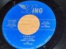 JIMMY CASTOR JUNIORS I Promise 1956 WING 45 NM  *HEAR