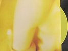 SMASHING PUMPKINS PISCES ISCARIOT LP COLOR VINYL