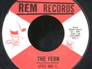 LITTLE ABEE C. 1966 Rare Dance/Doo-Wop Teener 45  HEAR