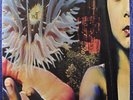 Future sound of London – Lifeforms 2LP 1994