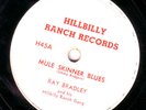 HOT COUNTRY 78 RAY BRADLEY MULE SKINNER BLUES