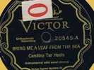 Vi29545 Carolina Tar Heels BRING ME A LEAF FROM THE SEA