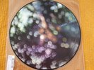 Pink Floyd-Obscured By Clouds-PICTURE DISC-LIMITED NM