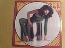 Kate Bush The Kick Inside PICTURE DISC UK LP LIMITED ED