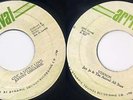 Johnny Osbourne - Give A Little Love (Arrival) Junjo 82