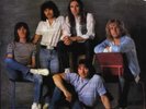 STATUS QUO Rare DUTCH 1982 7
