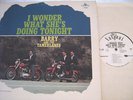 BARRY & The TAMERLANES I Wonder What.' 63 MONO WLP NM