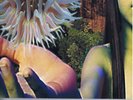 FUTURE SOUND OF LONDON lifeforms 1994 2LP set GATEFOLD