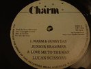 Junior Brammer/Lucan Scissors Killer Digi 12