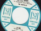 IN YOUR HEART - THE DONTELLS - NORTHERN SOUL - LISTEN