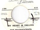 NORTHERN SOUL  THE MAGNIFICENTS   
