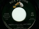 BOBBY DAY - PRETTY LITTLE GIRL...Rare Soul Popcorn HEAR