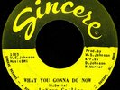 Northern Soul Funk 45 LASHAWN COLLINS What You Gonna Do