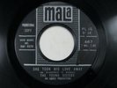 THE YOUNG SISTERS She Took His Love TEEN GIRL GROUP 45