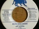 SKIP JACKSON deep disco 45 Micro Wave Boogie CATAMOUNT