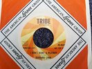 BARBARA LYNN TRIBE DEMO -I DON'T WANT A PLAYBOY -N,MINT
