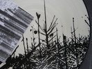 EA 80 pic. LP  slime, punk