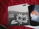WHITE PLAINS SAME LP IN 1970 TOP MINT RARE PROMO