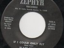 BLAZE FOLEY If I Could Only Fly PRIVATE TEXAS ZEPHYR 45