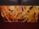 STEAMHAMMER 1st LP 1969 CBS 1st Press 