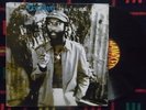 DESI ROOTS Doing it right OG UK LP HAWKEYE SHAKA 1980