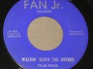 PRIVATE '62 WI Rock 45 VILAS CRAIG Walkin Avenue FAN JR