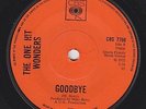 ONE HIT WONDERS Goodbye / Hey Hey Jump Now MOD MONSTERS