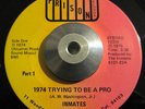 RARE Funk/Soul 45 Inmates 1974 Trying To Be A Pro ORIG