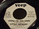 LITTLE ANTHONY & THE IMPERIALS - GONNA FIX YOU GOOD