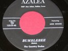 THE COUNTRY DUDES 