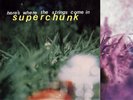 SUPERCHUNK HERES WHERE THE STRINGS COME IN MERGE SEALED