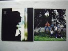 Paul Weller - Wild Wood Vinyl Album