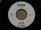  THE TUMBLERS SCREAM GARAGE SURF POCONO RARE 45