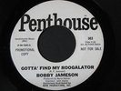 Bobby Jameson   Roogalator   rocker 45 Frank Zappa HEAR