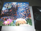 JELLYFISH Bellybutton NM LP '90 promo jason faulkner 