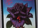 Thin Lizzy Black Rose Original UK LP Phillip Lynott