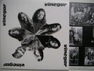 VINEGAR SAME AMBER SOUNDROOM LP RE KRAUTROCK