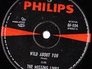 WILD ABOUT YOU = MISSING LINKS 1966 OZ GARAGE FREAKBEAT