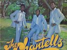 THE CHANTELLS - Waiting In The Park - LP Reggae LISTEN