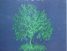 NICK DRAKE-BLUEBOX-FRUIT TREE/COMPLETE RECORDED WORKS)