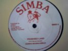 Dennis Brown&Aswad-Promised Land