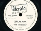 pc78-R&B vocal group-Herald 451-The Sunbeams