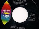 Pop 45 - Mickey Jones With Karen Carpenter On MagicLamp