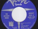 MYSTERY TREND Johnny Was A Good Boy GARAGE ROCK psych