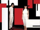 The White Stripes DE STIJL SPLIT color LP Vinyl Reissue