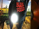 BLINK 182 DUDE RANCH   CLEAR GOLD VINYL BRAND NEW LP